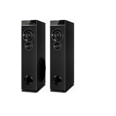Philips SPT-6660 Wired Speaker